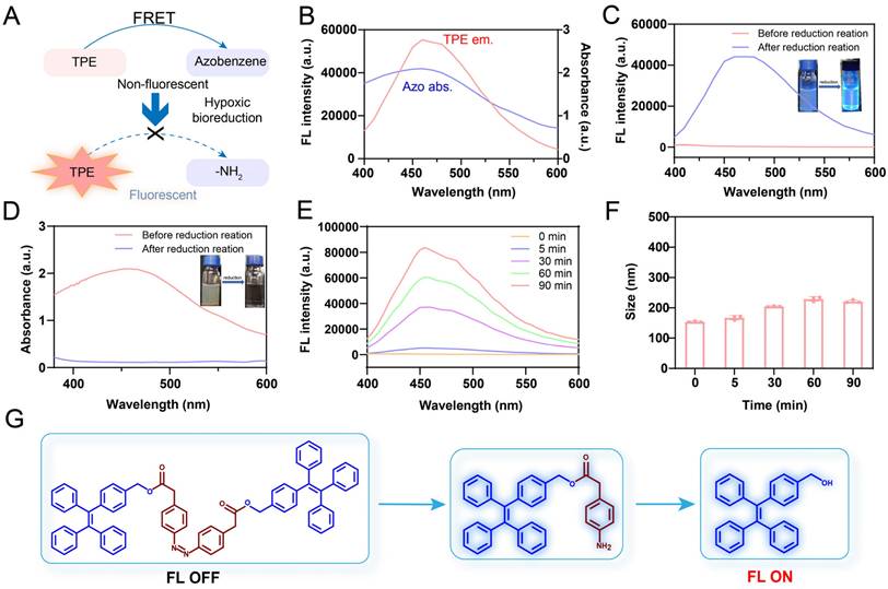 Theranostics Image