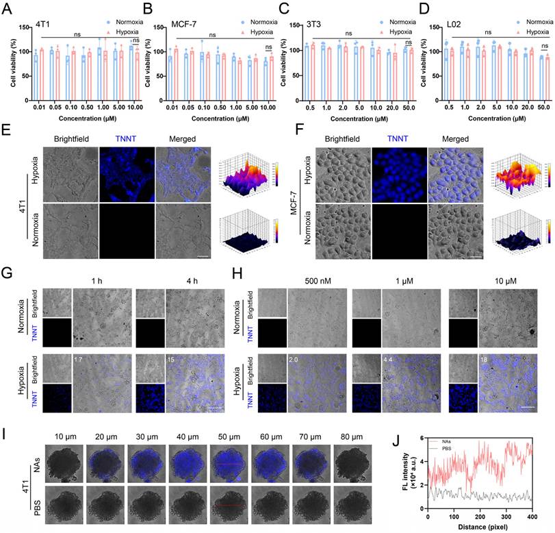 Theranostics Image