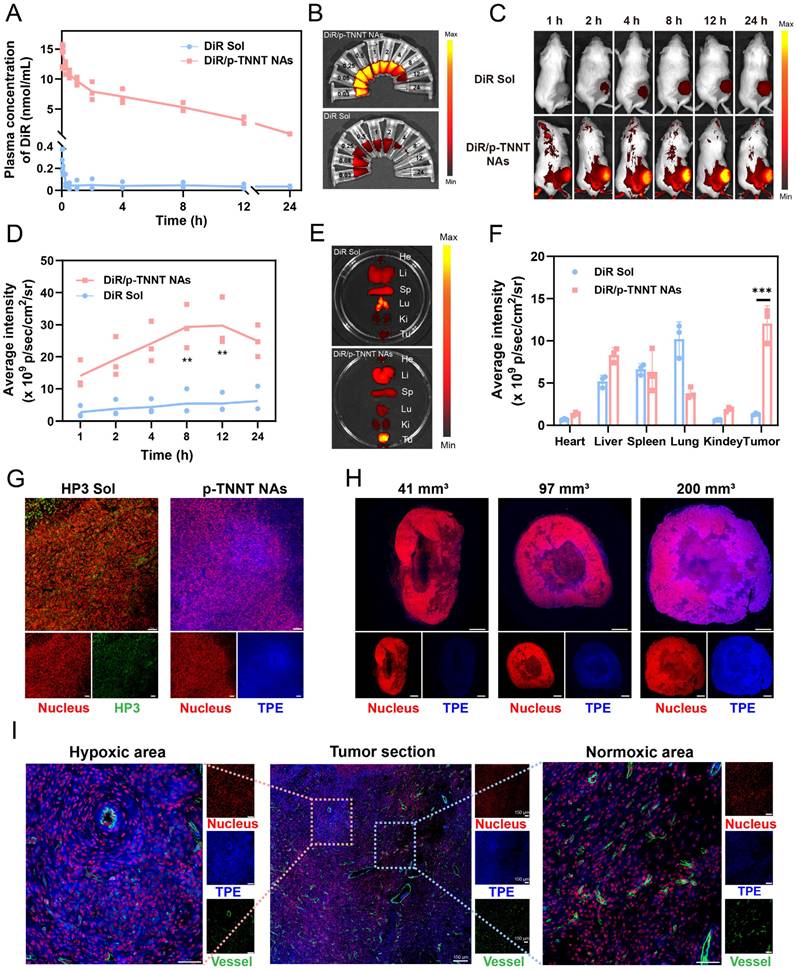 Theranostics Image