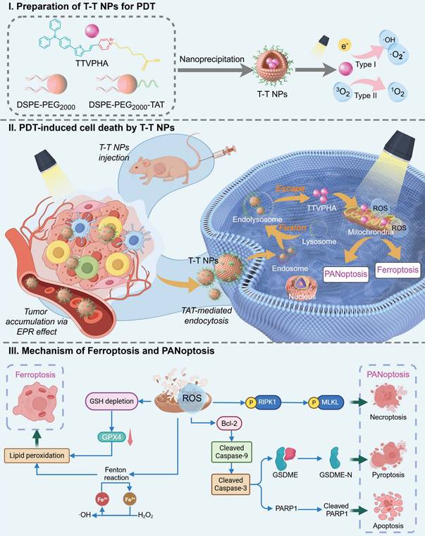 Theranostics Image