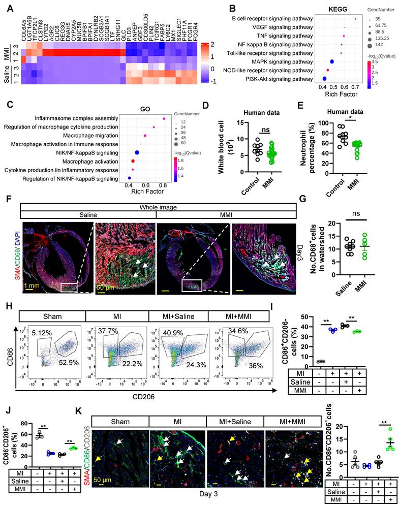 Theranostics Image