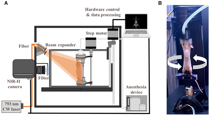Theranostics Image