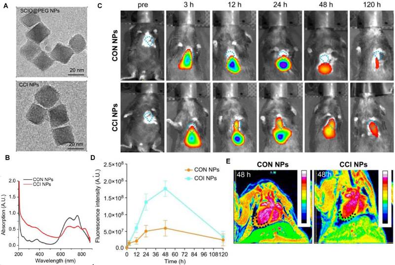 Theranostics Image