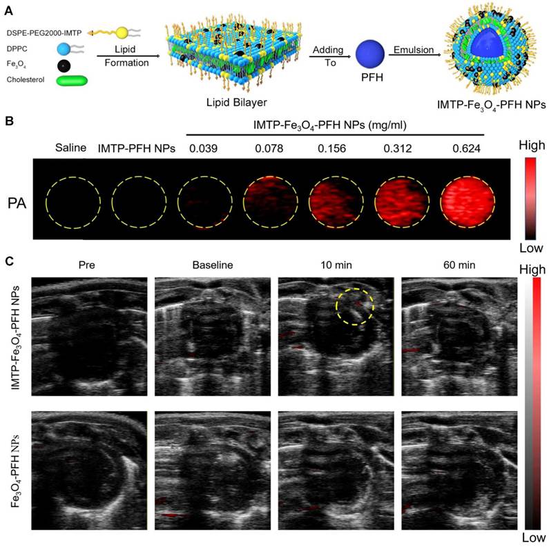 Theranostics Image