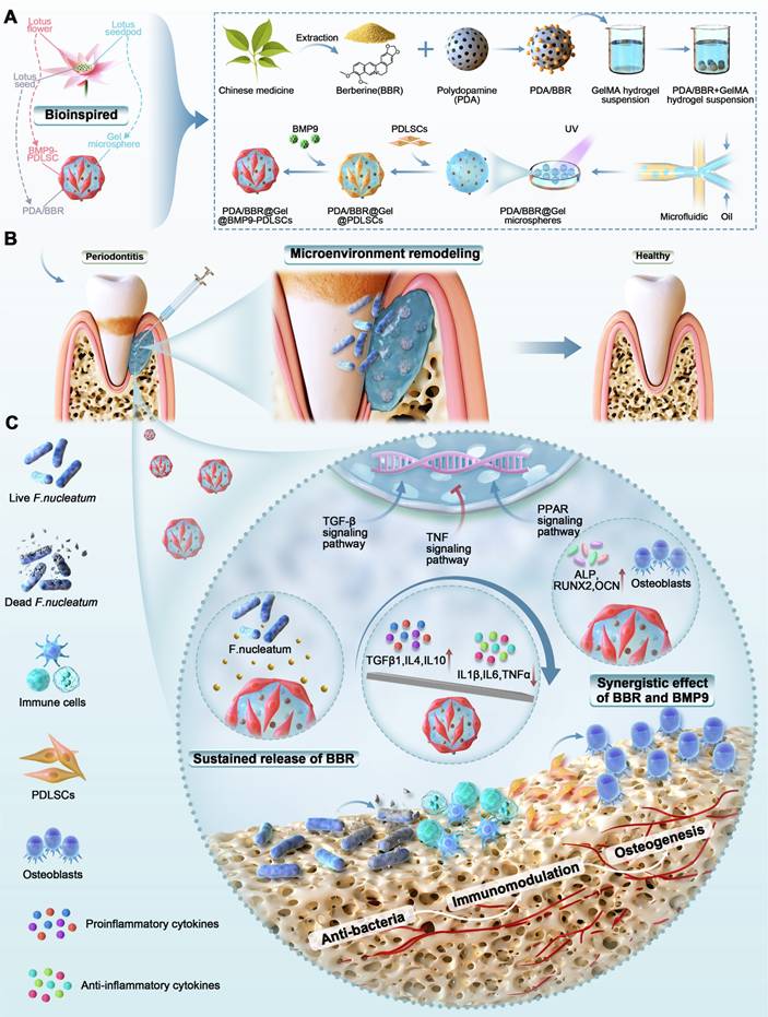 Theranostics Image