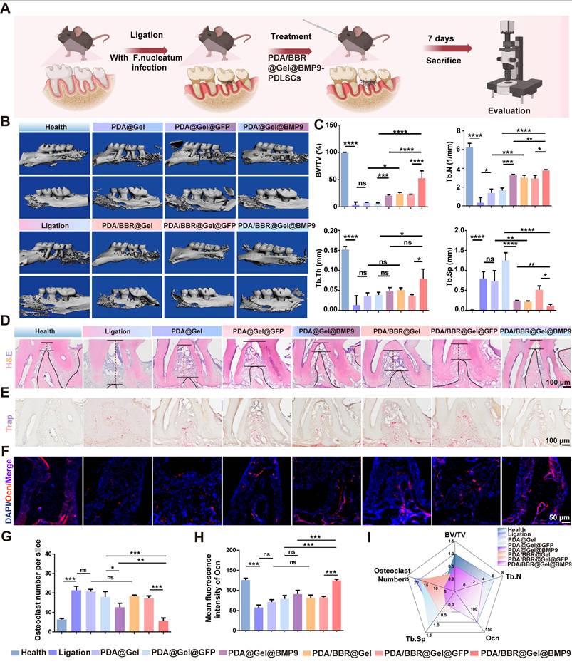 Theranostics Image