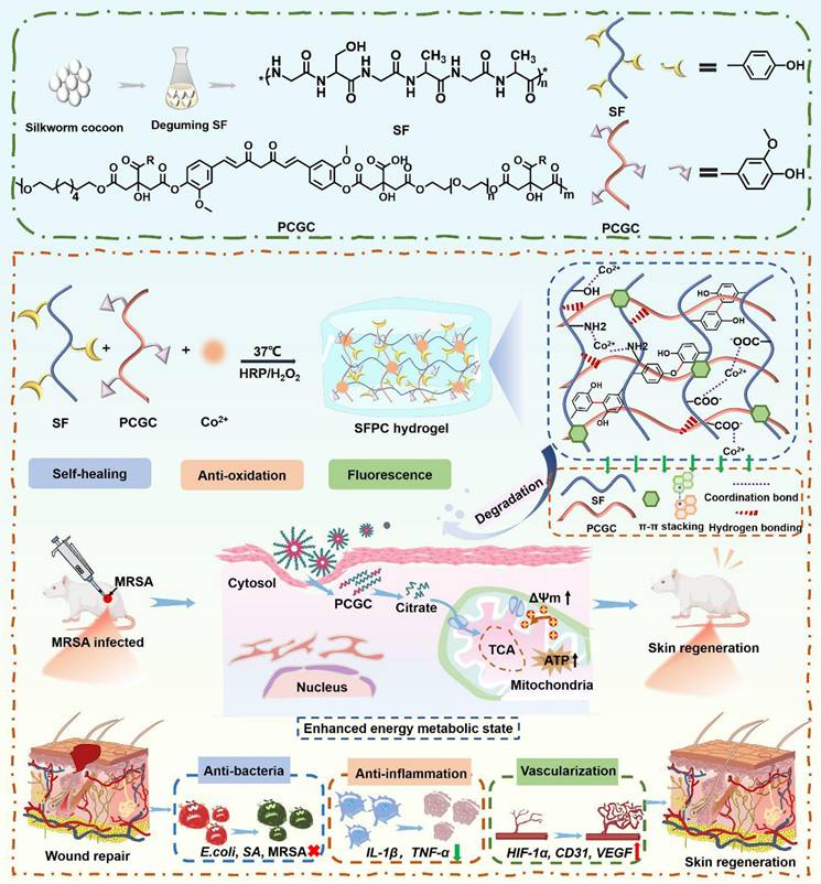 Theranostics Image