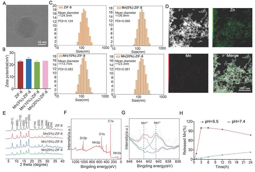 Theranostics Image