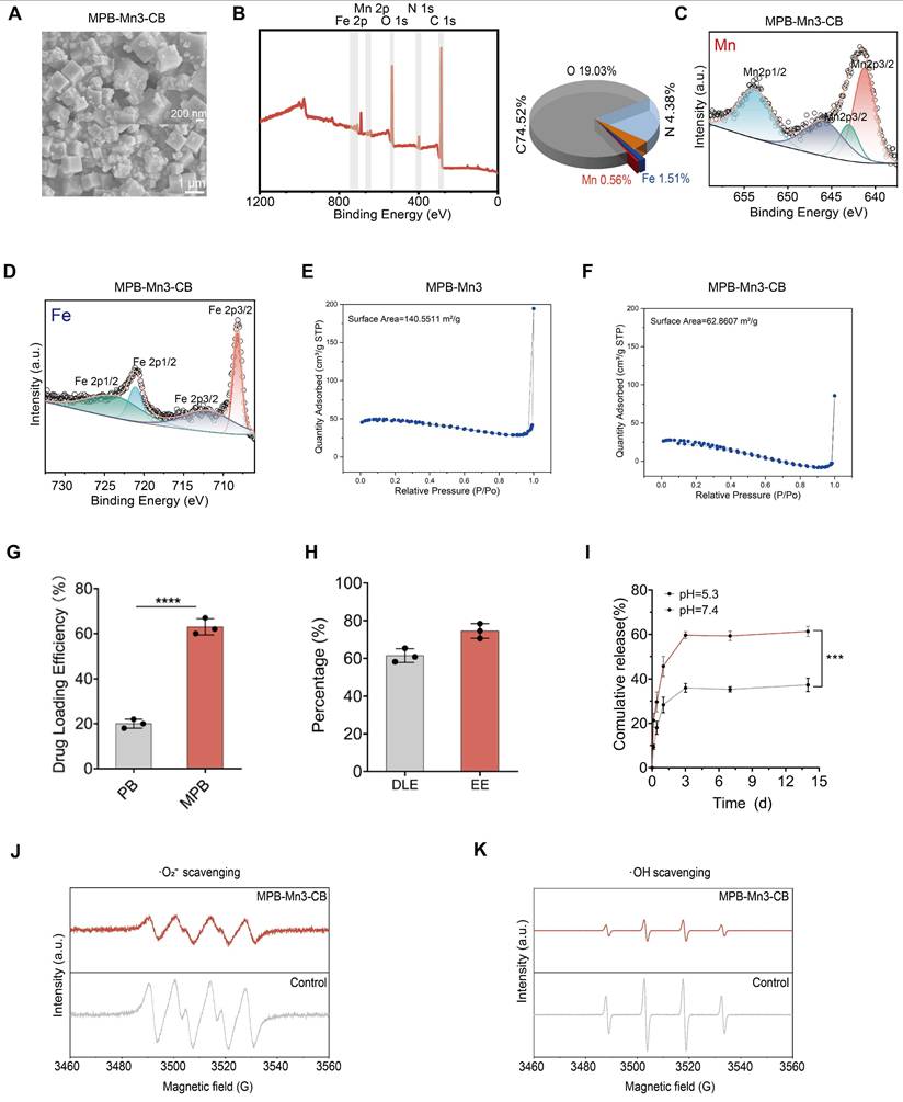 Theranostics Image