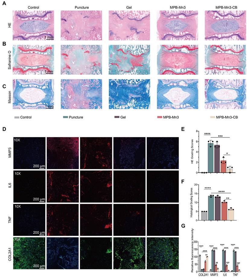 Theranostics Image