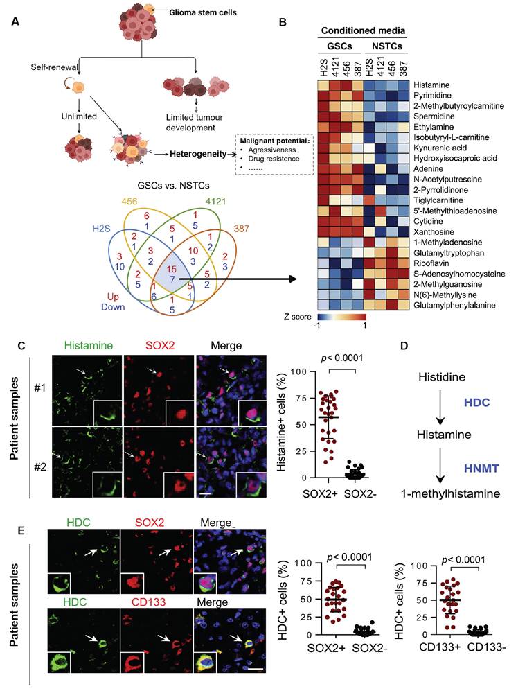 Theranostics Image