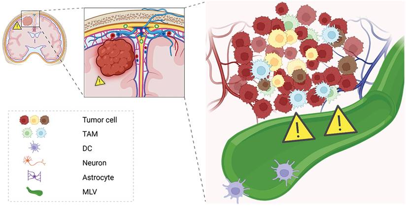 Theranostics Image