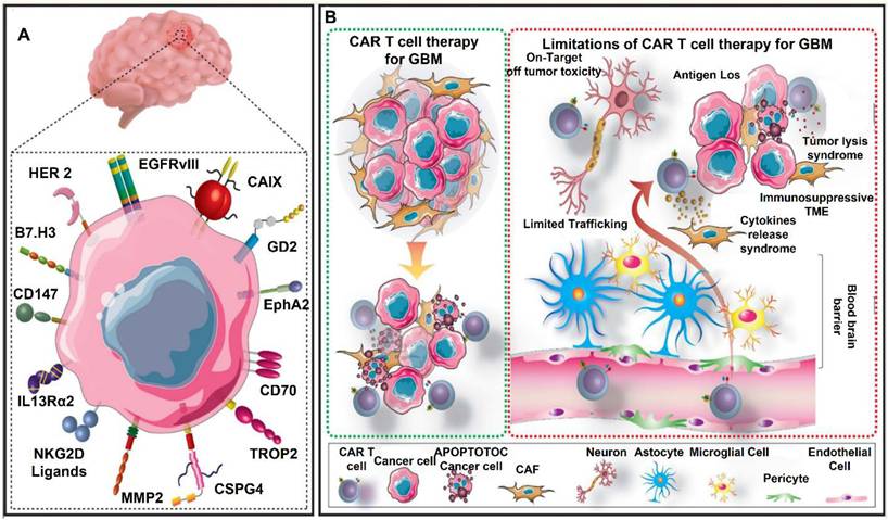 Theranostics Image