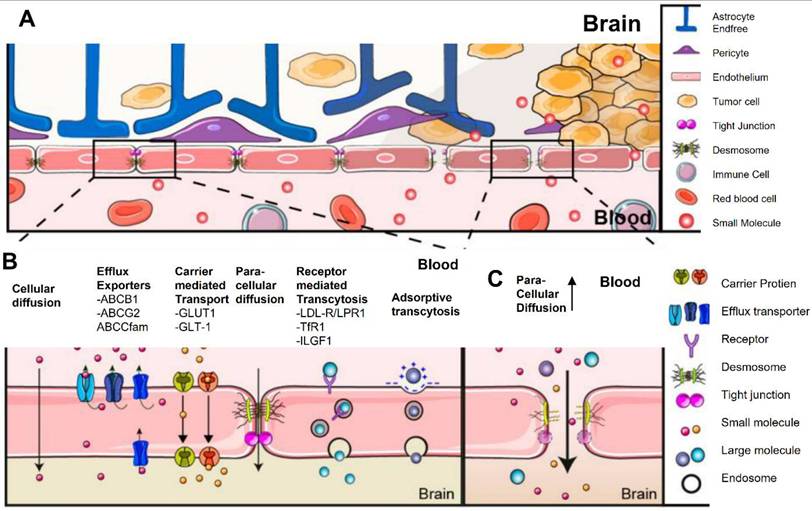 Theranostics Image
