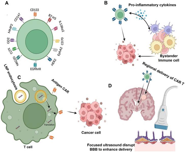 Theranostics Image