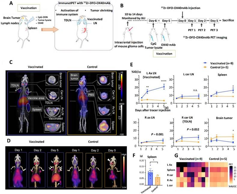 Theranostics Image