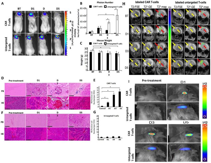 Theranostics Image