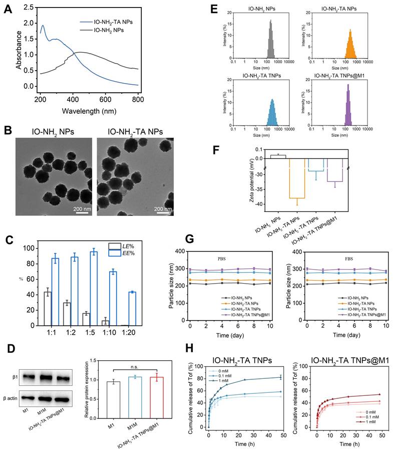 Theranostics Image