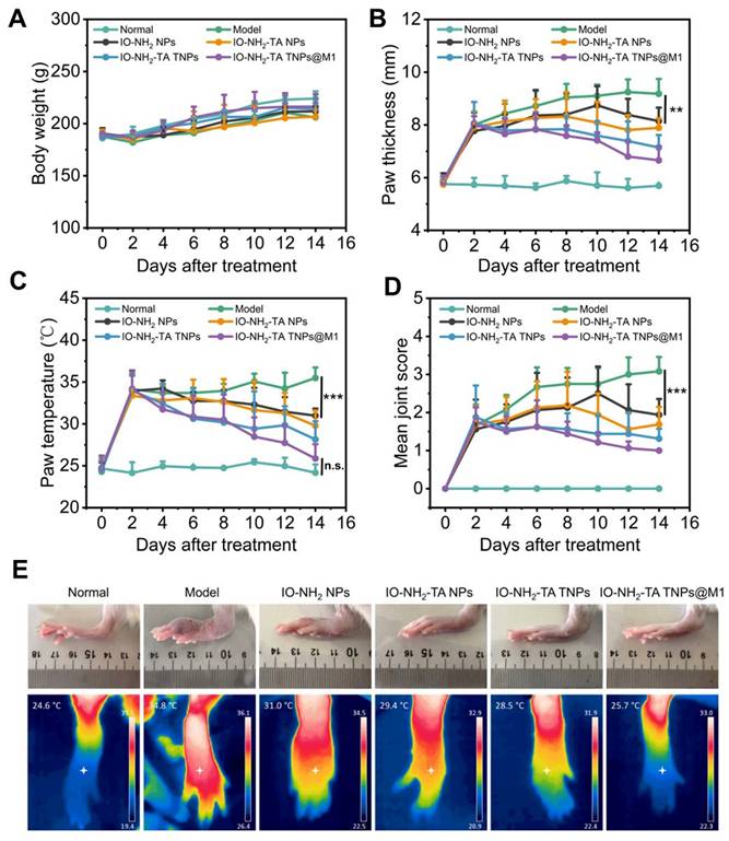 Theranostics Image
