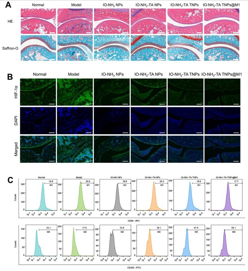 Theranostics Image