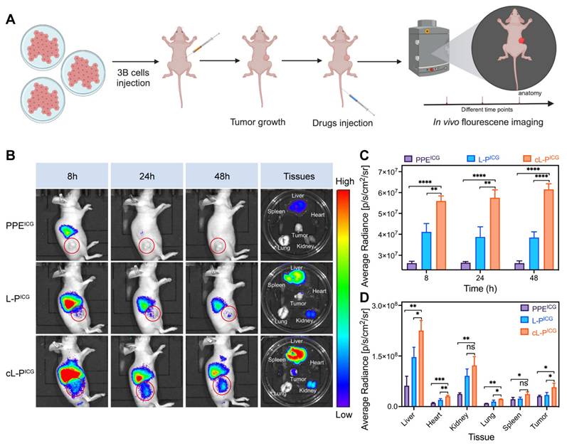 Theranostics Image