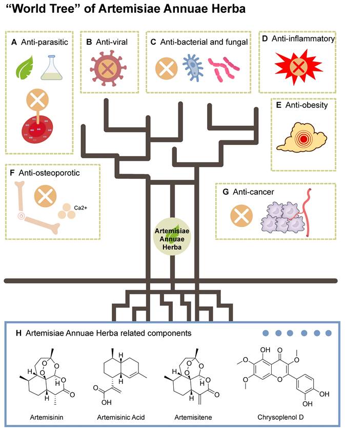 Theranostics Image
