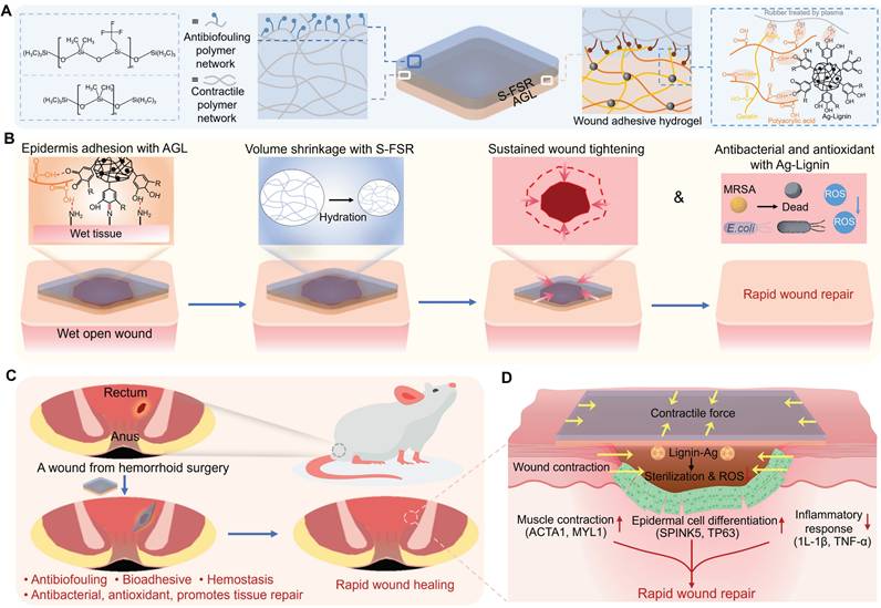 Theranostics Image