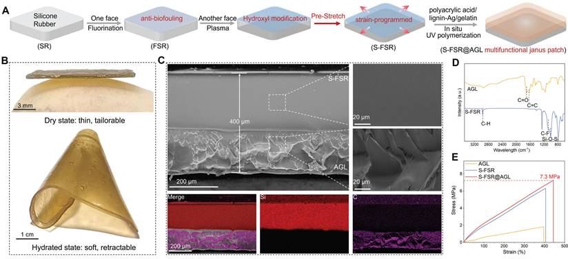 Theranostics Image