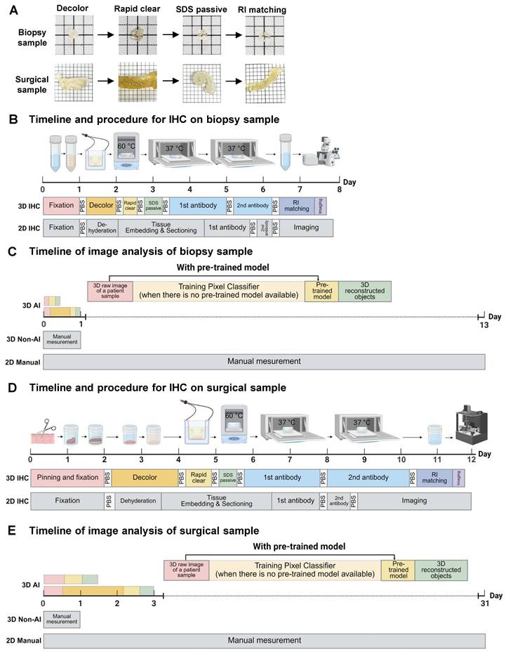 Theranostics Image