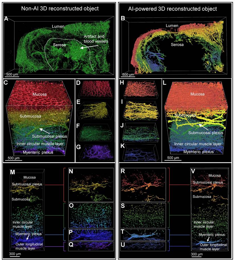 Theranostics Image