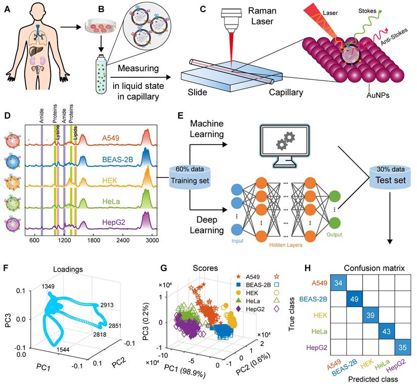 Theranostics Image