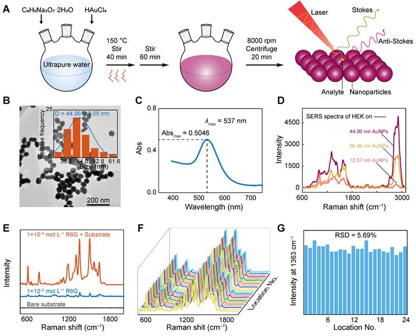 Theranostics Image
