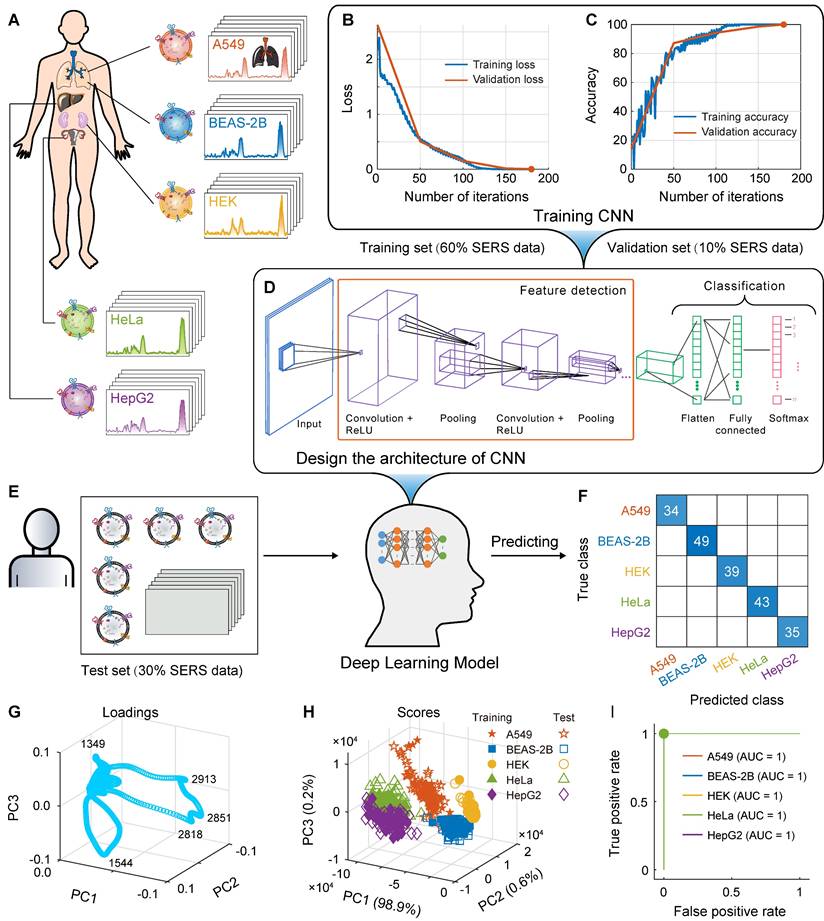Theranostics Image