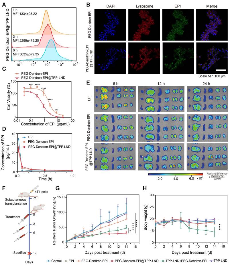 Theranostics Image