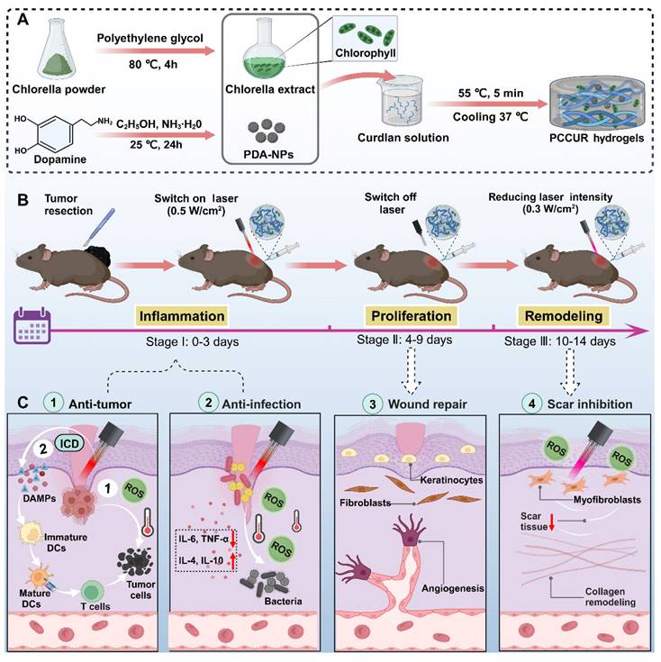Theranostics Image