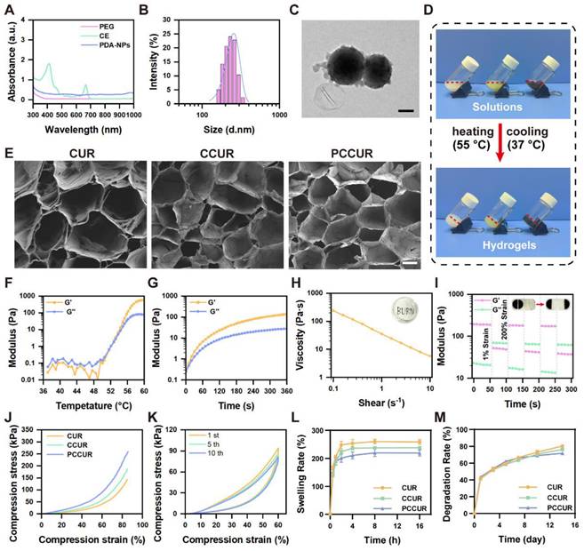 Theranostics Image