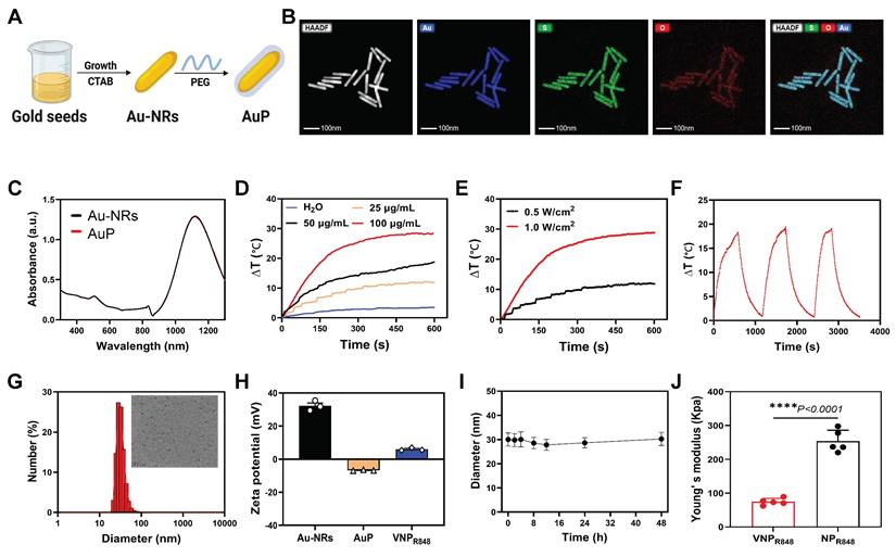 Theranostics Image