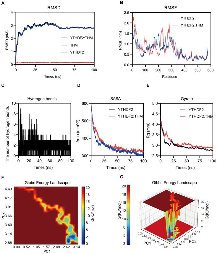 Theranostics Image