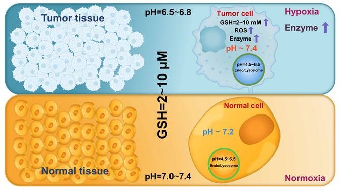 Theranostics Image