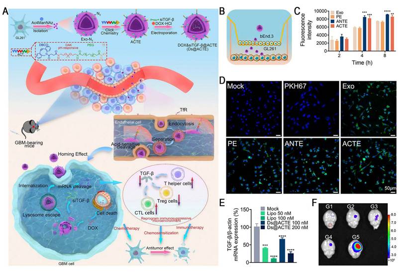 Theranostics Image