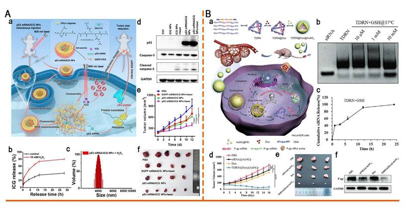 Theranostics Image