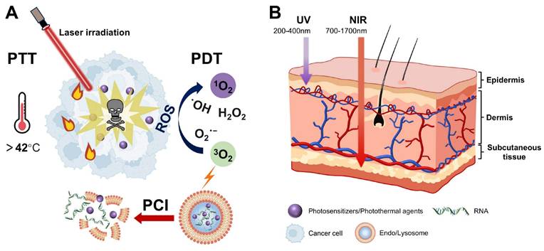 Theranostics Image