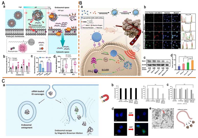 Theranostics Image