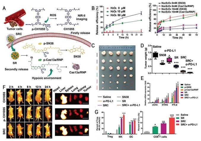 Theranostics Image