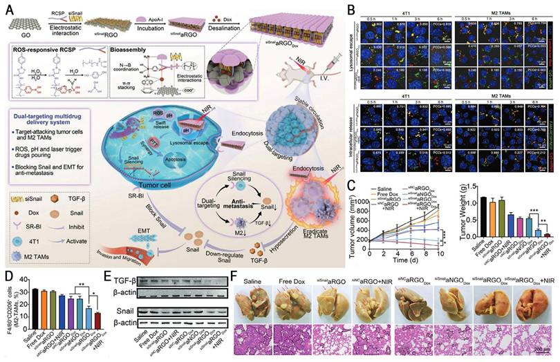 Theranostics Image