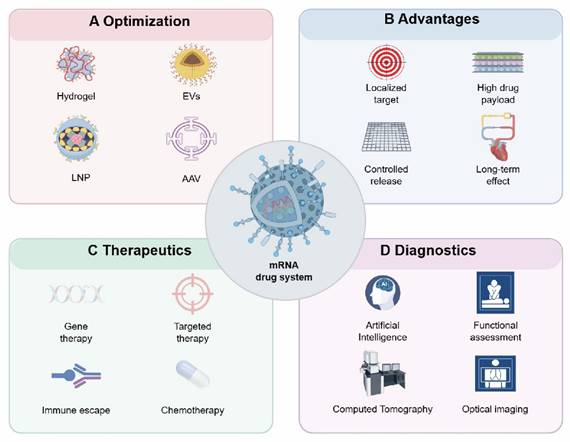 Theranostics Image
