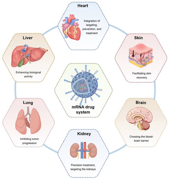 Theranostics Image