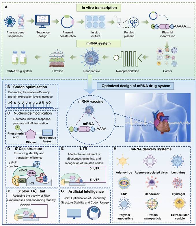 Theranostics Image