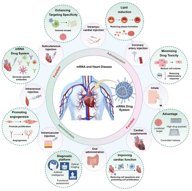 Theranostics Image