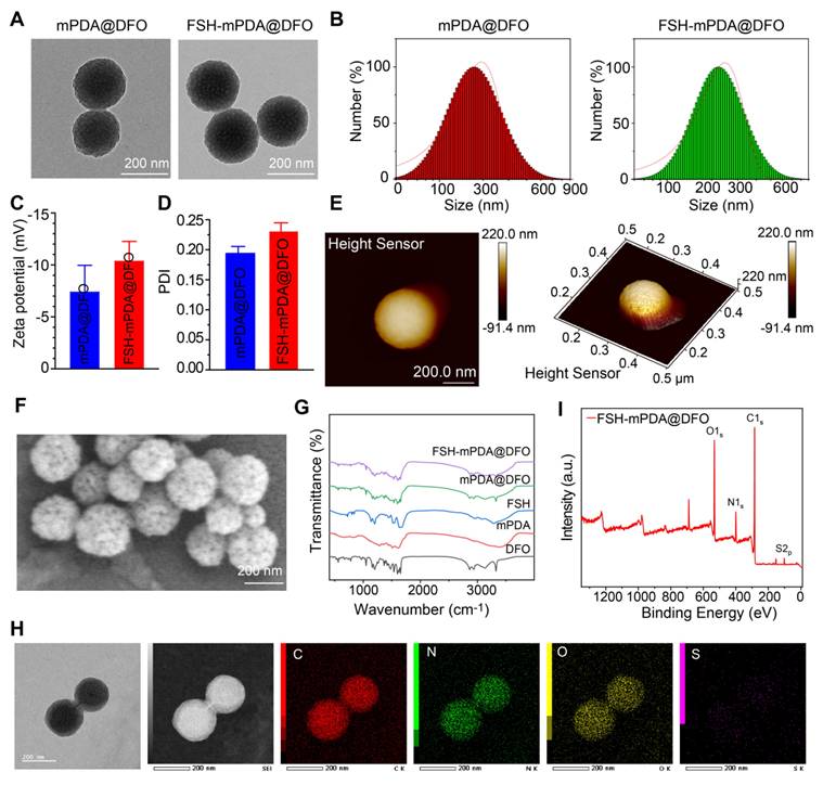 Theranostics Image